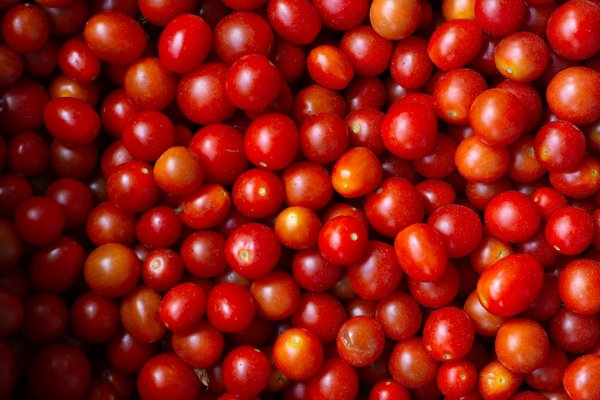 Essential Features to Look for in an Electric Tea Brewer for Optimal Home Brewing